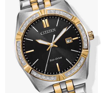 Image showcasing a striking Citizen & Bulova Watch.