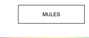 MULES