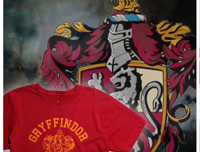 Harry Potter Gryffindor Quidditch Tee