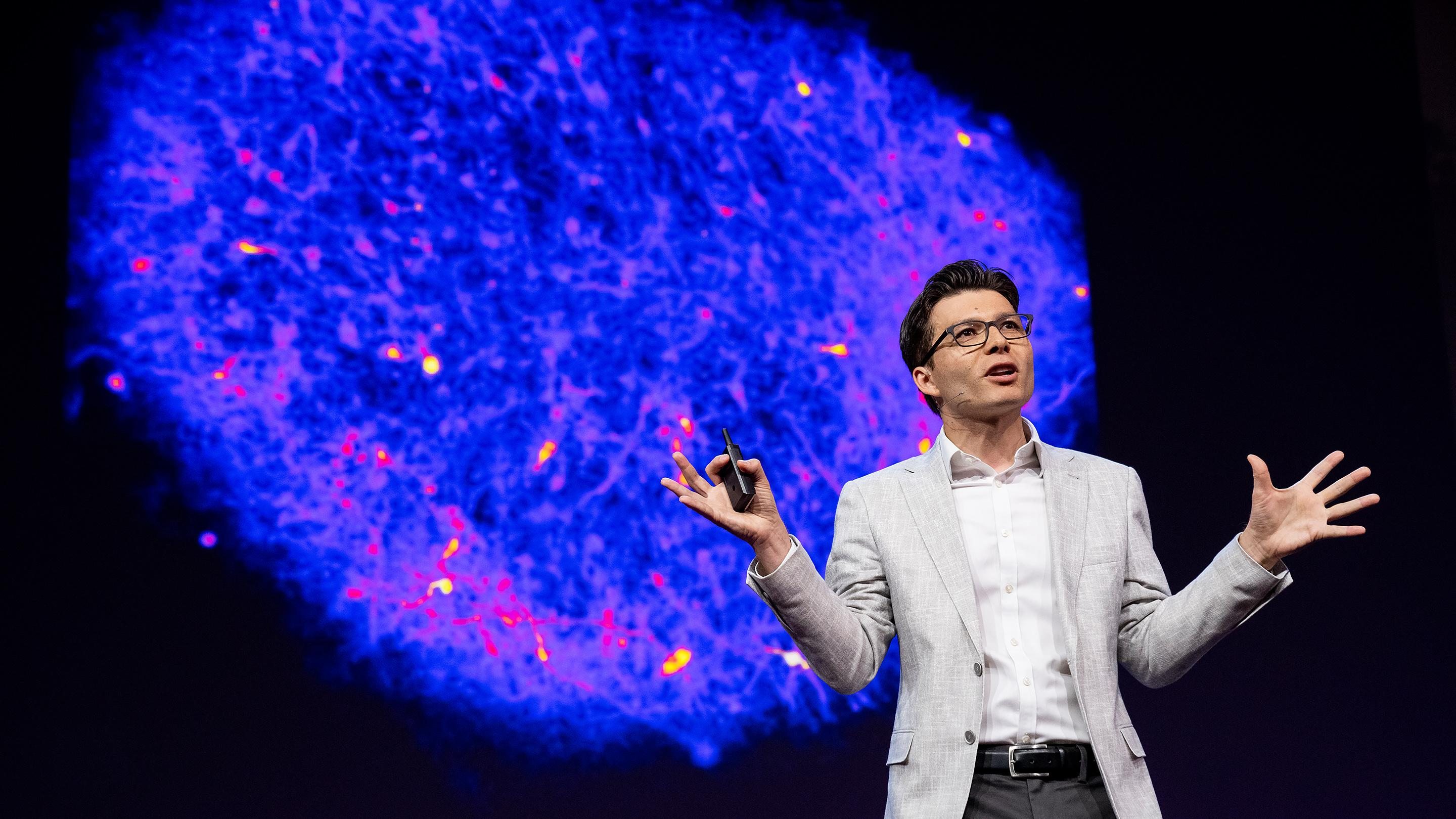 An idea from TED by Sergiu P. Pasca entitled How we're reverse engineering the human brain in the lab