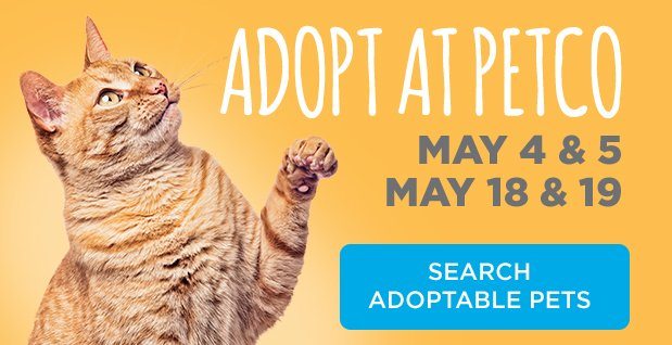 Search Adoptable Pets.