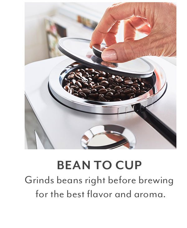 Bean to Cup