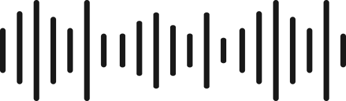 Audio algorithm visualization for how the audio files are processed.