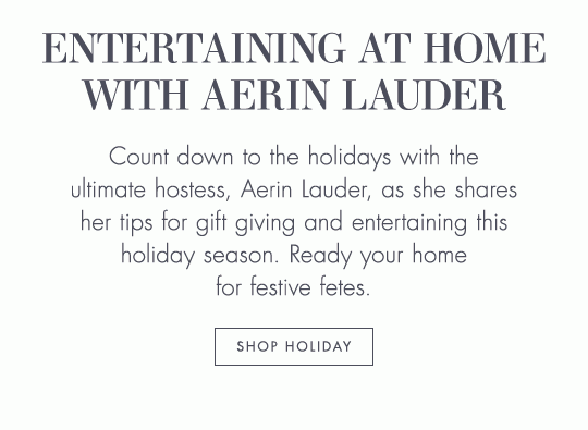 Holiday Entertaining at Home with Aerin Lauder Est e Lauder