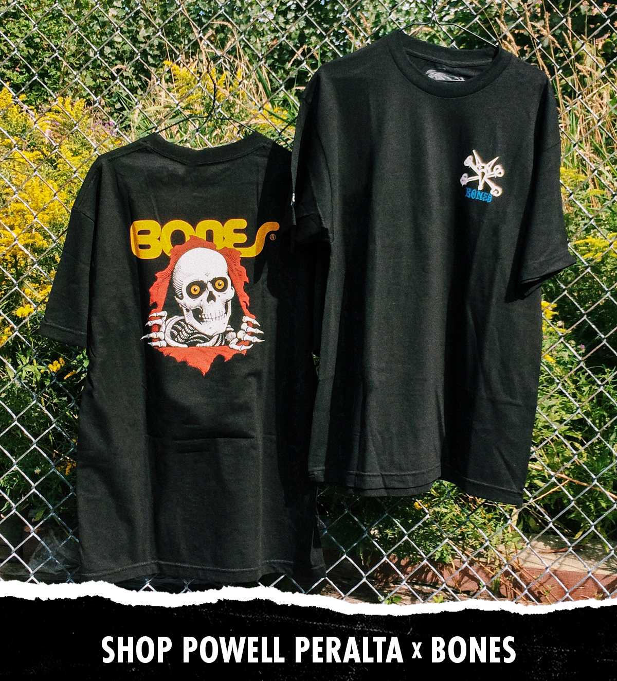 powell peralta x bones