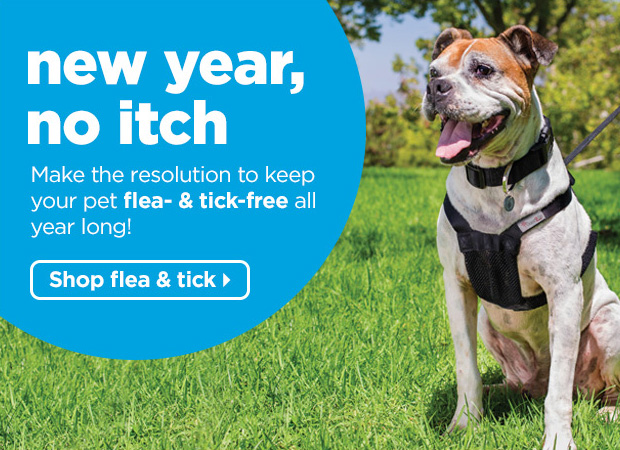 New year, no itch. Make the resolution to keep your pet flea- & tick-free all year long! Shop flea & tick > 