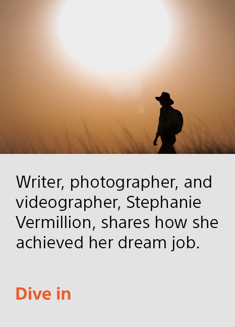 Writer, photographer, and videographer, Stephanie Vermillion, shares how she achieved her dream job. | Dive in