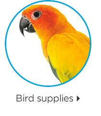 Bird supplies.