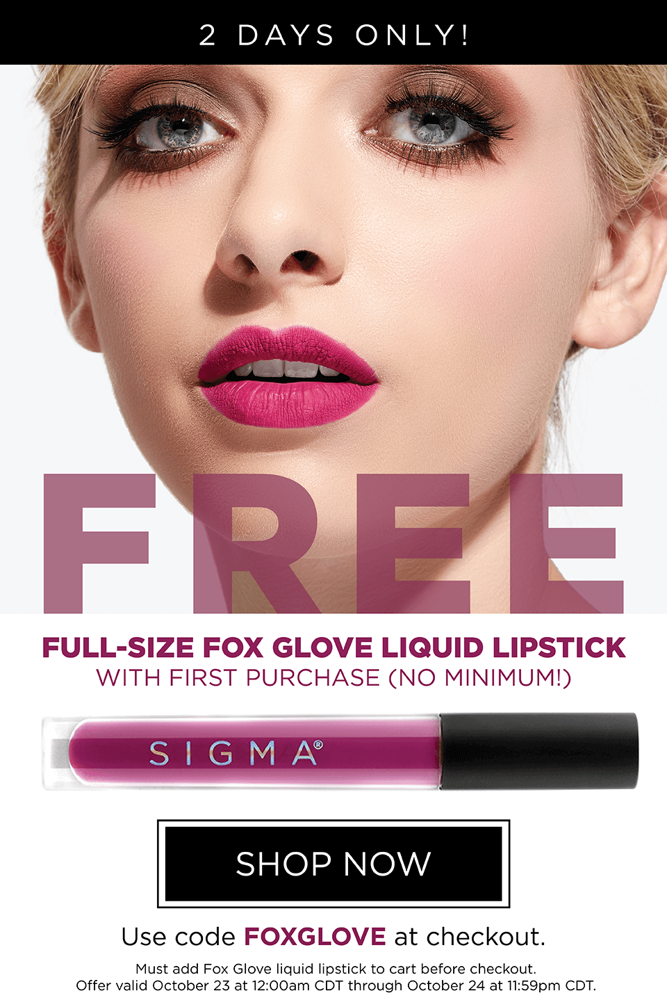 FREE Liquid Lipstick!