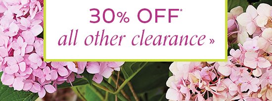 30% Off All Other Clearance