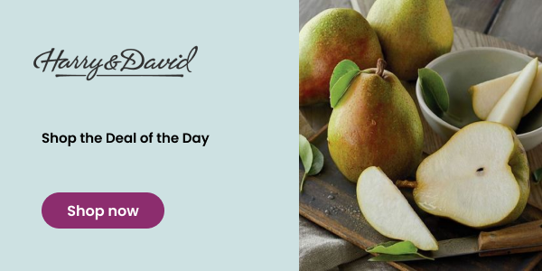 Harry and David: Shop the Deal of the Day at Harry & David