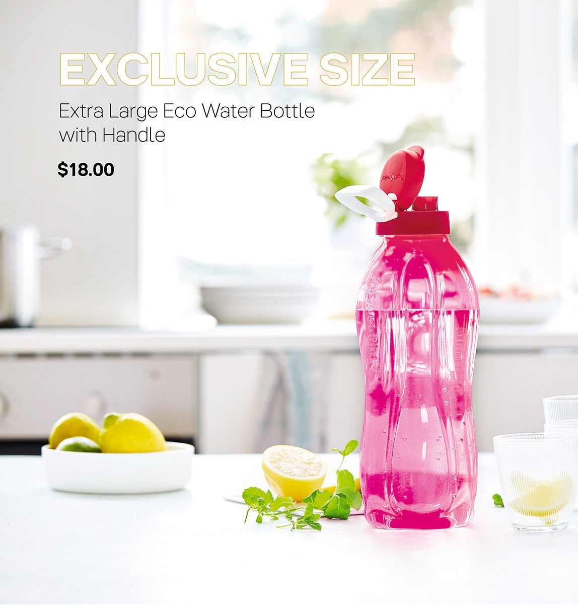 Extra Large Eco Water Bottle with Handle