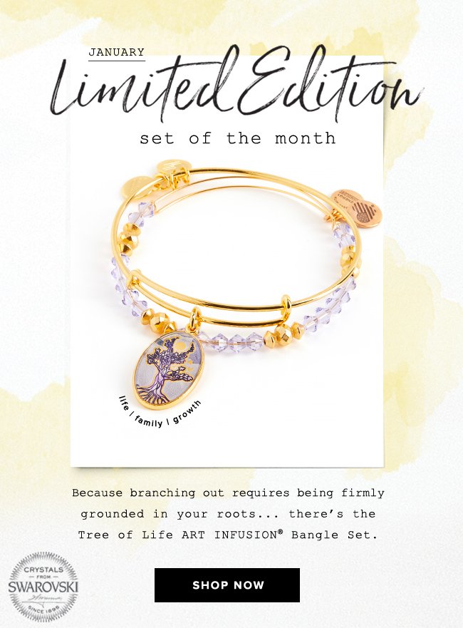 Shop January's Limited Edition Set: the Tree of Life Art Infusion Bangle Set.