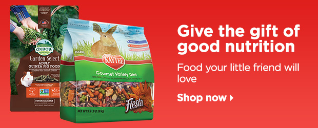 Give the gift of good nutrition. Food your little friend will love. Shop now > 