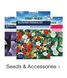 SEEDS & ACCESSORIES