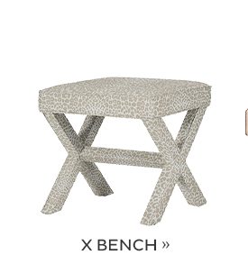 X Bench