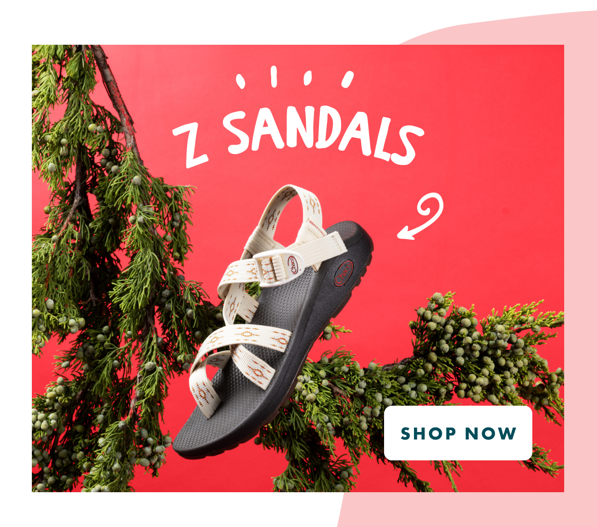 Z/SANDALS - SHOP NOW