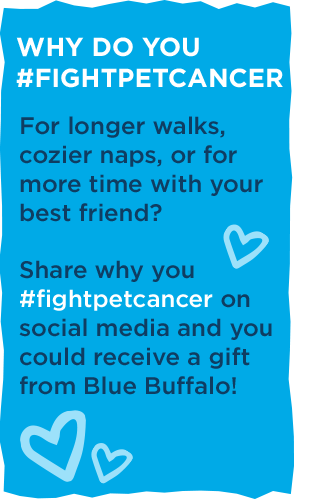 Why do you #FightPetCancer.