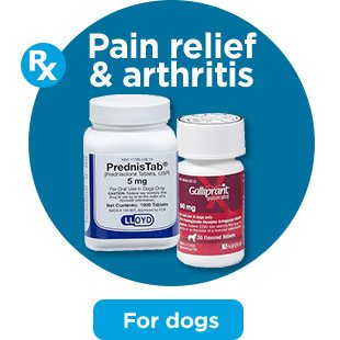 Pain relief & arthritis. For dogs.