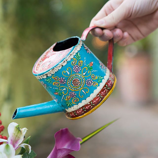 Henna Houseplant Watering Can