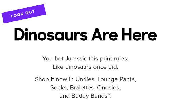 You bet Jurassic this print rules. Like dinosaurs once did. Shop it now in Undies, Lounge Pants, Socks, Bralettes, Onesies, and Buddy Bands™.