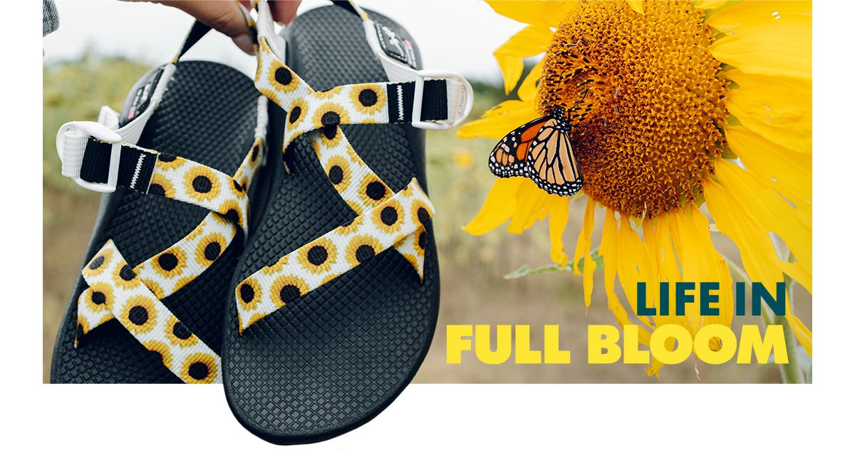 Chaco sandals online sunflower