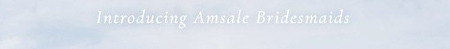 Introducing Amsale Bridesmaids