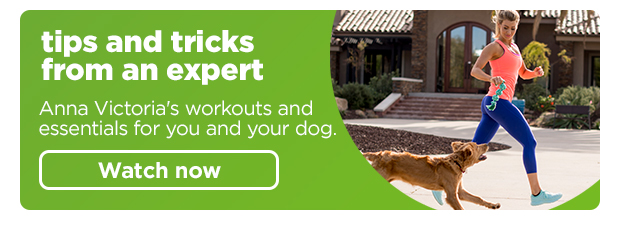 Tips and tricks from an expert. Watch now >