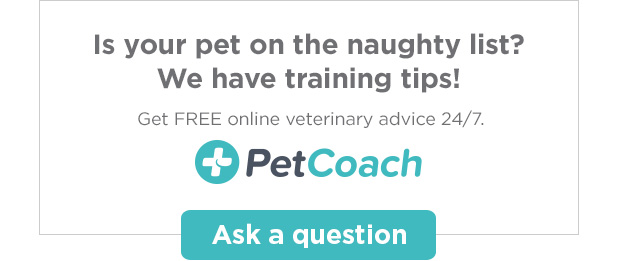 Is your pet on the naughty list? We have training tips! Get FREE online veterinary advice 24/7. PetCoach. Ask a question. 