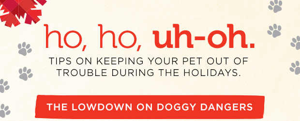 Ho, ho, uh-oh. TIPS ON KEEPING YOUR PET OUT OF TROUBLE DURING THE HOLIDAYS. THE LOWDOWN ON DOGGY DANGERS. 