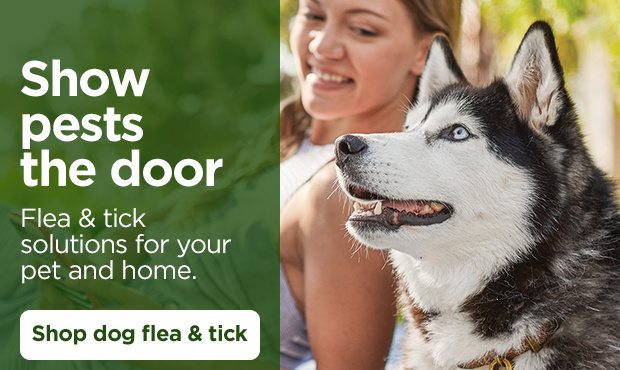 Show pests the door. Flea & tick solutions for your pet and home. Shop dog flea & tick.