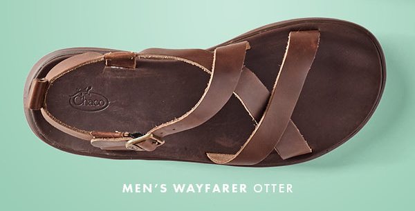 MEN'S WAYFARER OTTER