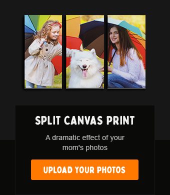 Split Canvas Print