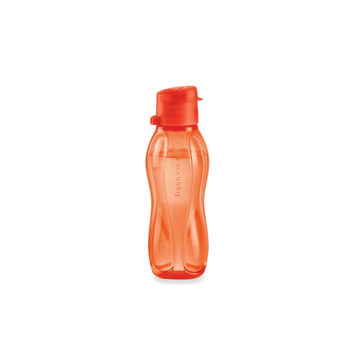 Extra Small Eco Water Bottle