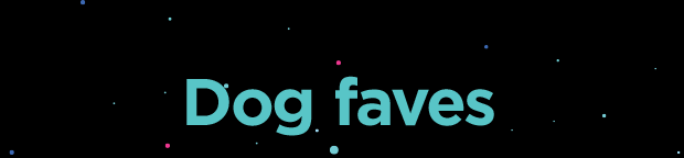 Dog faves.