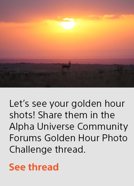 Let’s see your golden hour shots! Share them in the Alpha Universe Community Forums Golden Hour Photo Challenge thread. | See thread