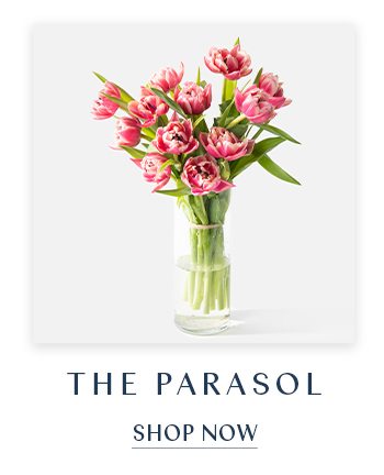 The Parasol