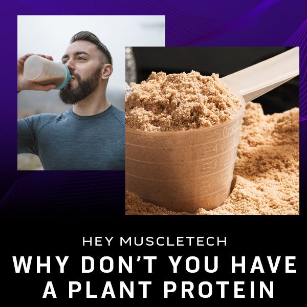 Why Don’t You Have a Plant Protein