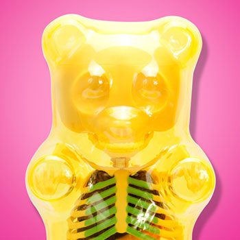 Funny Anatomy Gummi Bear (Clear Yellow)