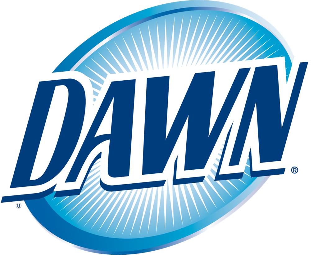 Dawn_logo_2008.png