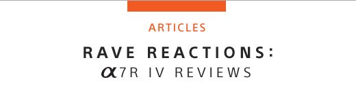 ARTICLES | RAVE REACTIONS: ALPHA 7R IV REVIEWS