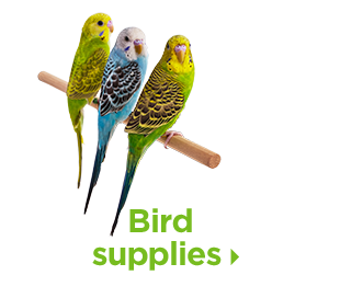 Bird supplies.