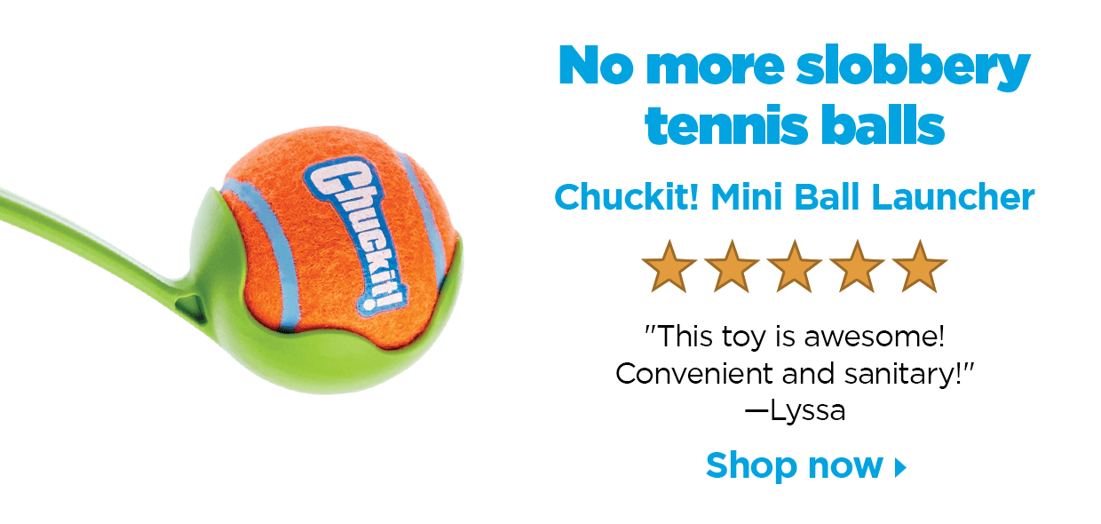 No more slobbery tennis balls. Chuckit! Mini Ball Launcher. 5 stars. "This toy is awesome! Convenient and sanitary!" —Lyssa Shop now.