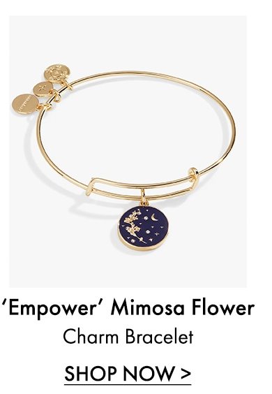 Empower Mimosa Flower| Shop Now