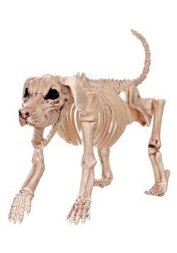 Beagle Bonez 20" Skeleton Dog