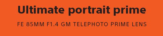 Ultimate portrait prime | FE 85MM F1.4 GM TELEPHOTO PRIME LENS