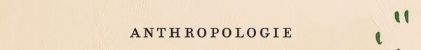 Shop Anthropologie.