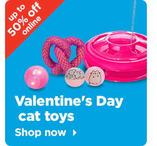 Valentine's Day cat toys >