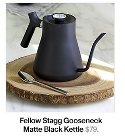 Fellow Stagg Gooseneck Matte Black Kettle