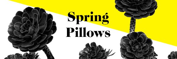 SPRING PILLOWS